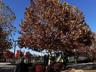 Dry Creek Community Park