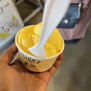  a hand holding a cup of ice cream