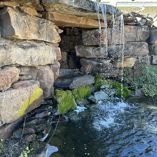 Got to behind coy fish pond.