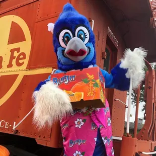 Satsumie Bluejay celebrating Chinese New Year