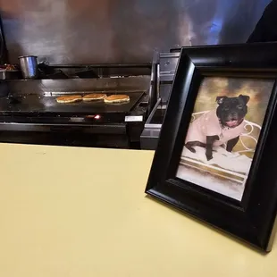 Cute little guy hangs in the rear apparently :)