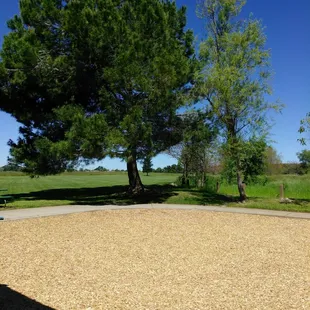 Beautiful day!! Don't waste it!!