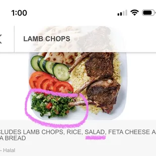 Photo on website and what I was considering the "salad"  cucumber and tomato are more garnish to me based on this