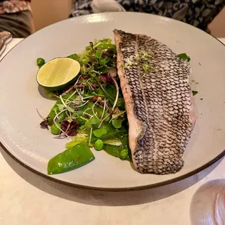 Steamed Black Sea Bass, Celeriac Tartar Sauce Warm Brussel Leaf Salad