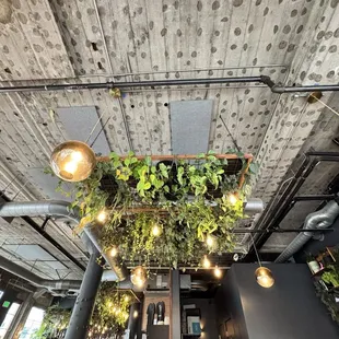 Interior detail, these are all real plants!