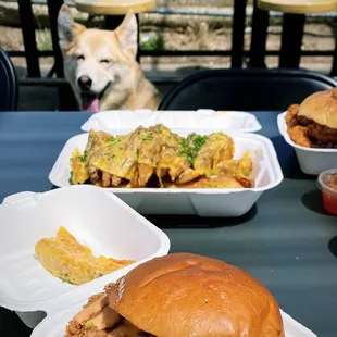 Spicy Chicken Sandwich Cheddar Loaded Jojos