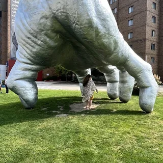 Savannah C.