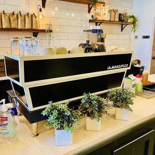 a coffee shop counter