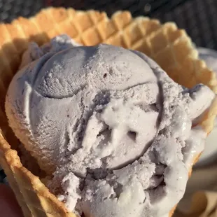 Honey Lavender Ice Cream (GF) in Regular Waffle Cone