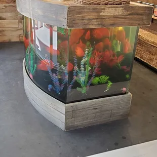 a fish tank in a store