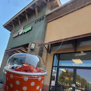 a hand holding a cup of yogurt