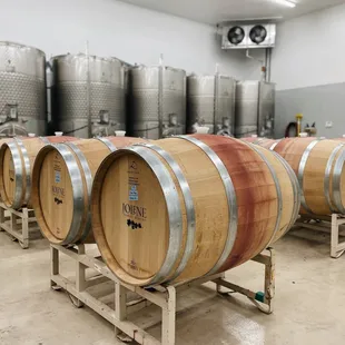 rows of wine barrels