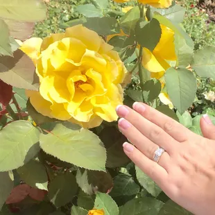 My perfect French tip by Vanessa! She does a beautiful job ! Perfectionist I'd say!