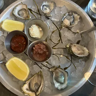 Kumamoto Oysters