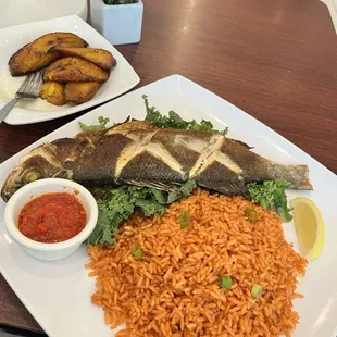 Branzino, Jollof Rice