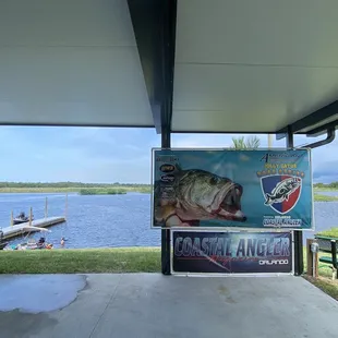 a large fish on display