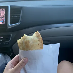 Chicken Empanada