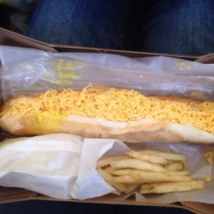 There is is my favorite footlong everything with fries.