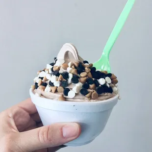 Flavor: Mounds bar frozen yogurt with chocolate chips!