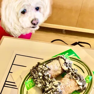 Fendi gazing at the cannolis