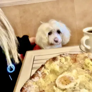  dog and a pizza