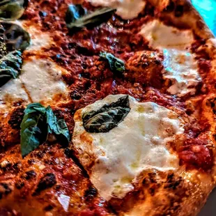 Margarita Pizza