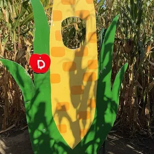 "Corn Selfie Man" in the corn maze