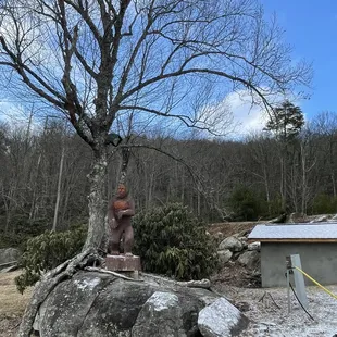 View from the conveyor belt - wood carving under tree