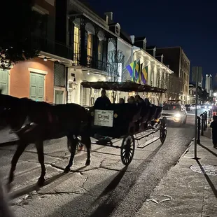 Mule drawn carriage