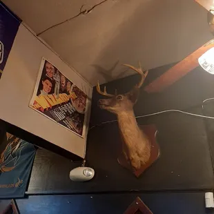 Rudolph pondering on the Wall