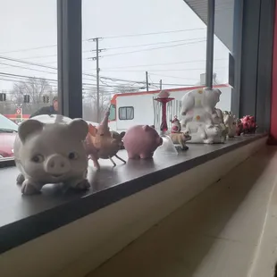 Piggies