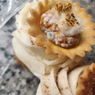 Mold...this is mold on a cupcake bought a few hours before and brought home.