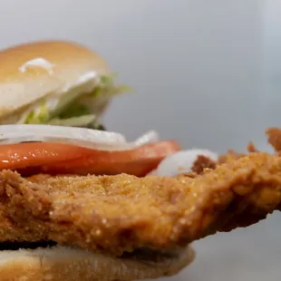 Breaded Tenderloin!! (keepsmilingphoto.com)