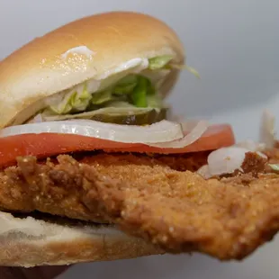 Breaded Tenderloin!! (keepsmilingphoto.com)