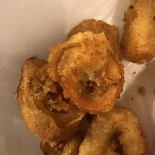 Frozen calamari
