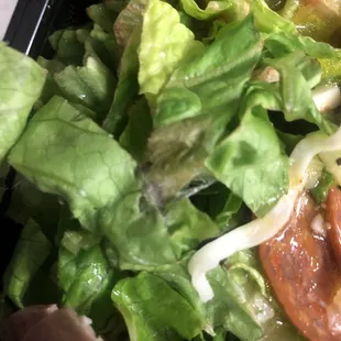 More mold on the salad and they just put it in the fridge