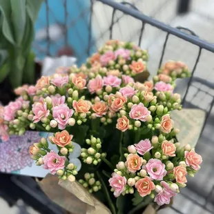 So pretty