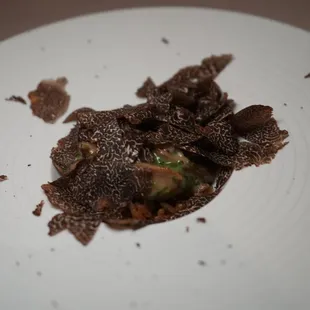 Truffle @dumplingadventuress