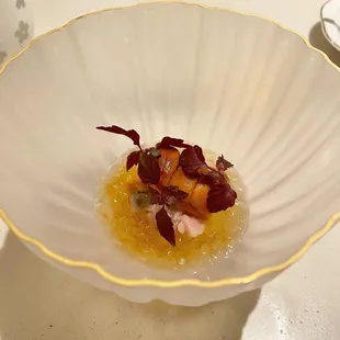 Shima Aji Hokkaido Uni