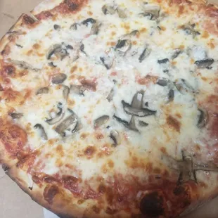 This is an onion pizza with extra extra onions.  Notice mushrooms? That wasn't ordered plus minimal onions.