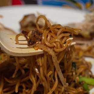 Beef Chow Mein!! (keepsmilingphoto.com)