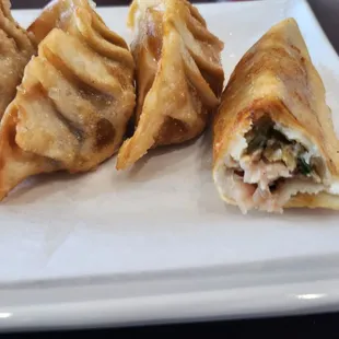 Fried Dumplings