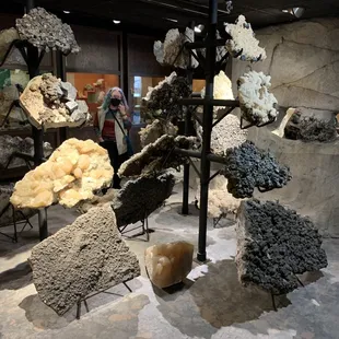 Note my wife in the background.  These are BIG specimens!