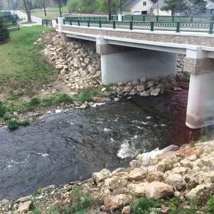 The view from my table!