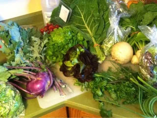 Plowshares & Prairie Farm