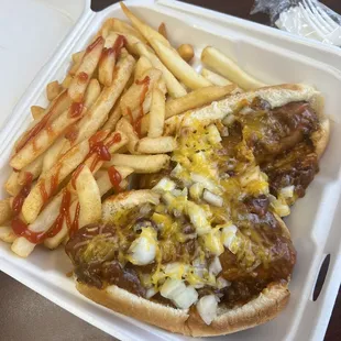 Chili Cheese hotdog with fries. (Daily Special) The special only comes with one but the owner threw in an extra one for me :o)