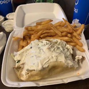 Gyro Sandwich