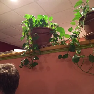 a man sitting at a table in a restaurant