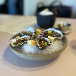 food, mussels, oysters, oysters and mussels, shellfish