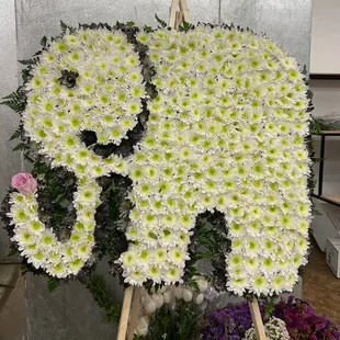 Elephant  arrangement